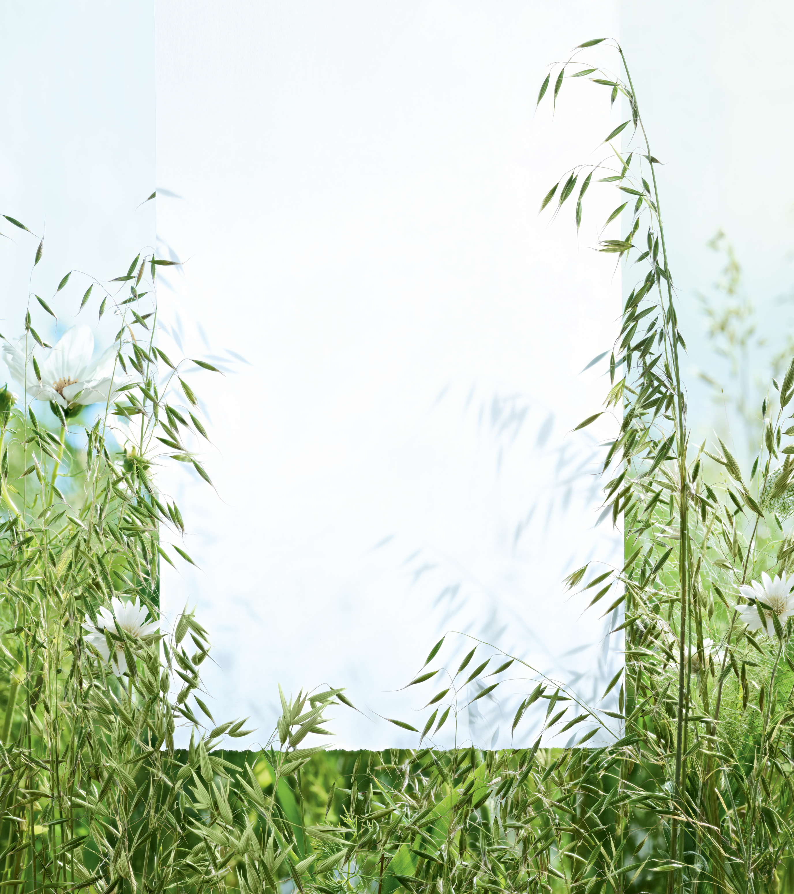 kl_hair_oat_with feuille 577x650